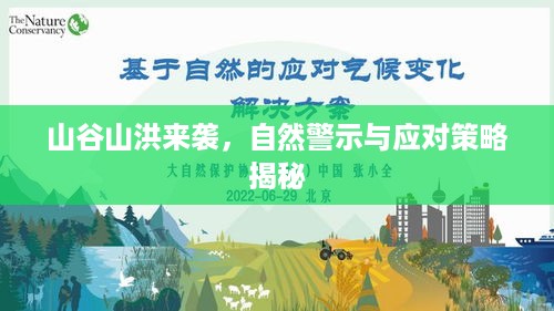 山谷山洪来袭，自然警示与应对策略揭秘
