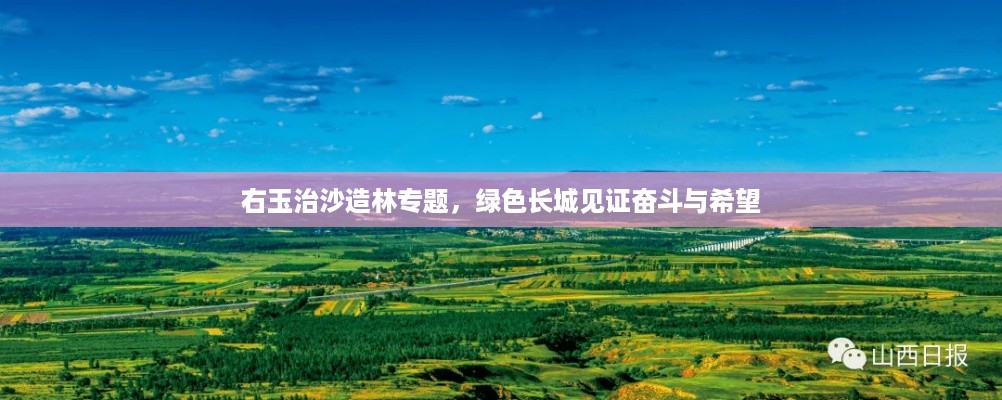 右玉治沙造林专题，绿色长城见证奋斗与希望