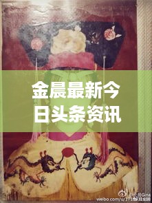 金晨最新今日头条资讯与动态速递