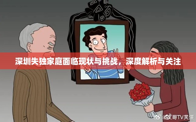 深圳失独家庭面临现状与挑战，深度解析与关注