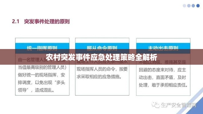 农村突发事件应急处理策略全解析