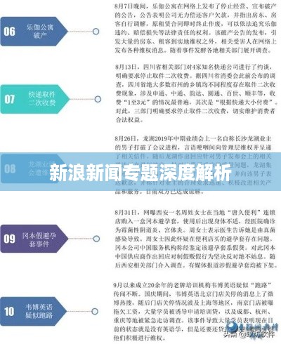 新浪新闻专题深度解析