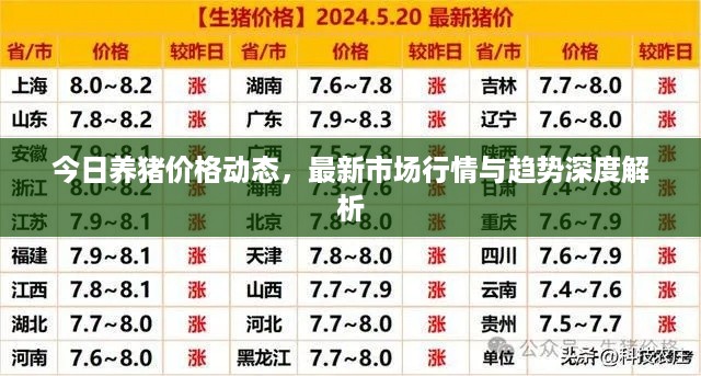 今日养猪价格动态，最新市场行情与趋势深度解析
