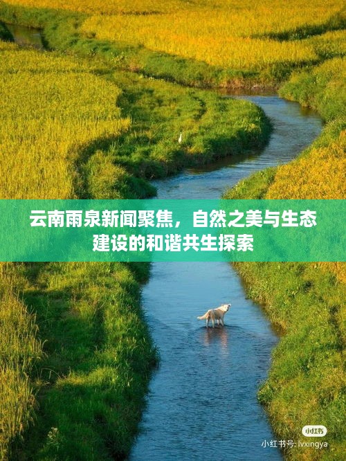 云南雨泉新闻聚焦，自然之美与生态建设的和谐共生探索