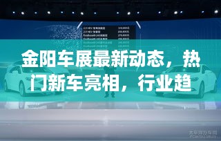 金阳车展最新动态，热门新车亮相，行业趋势一网打尽