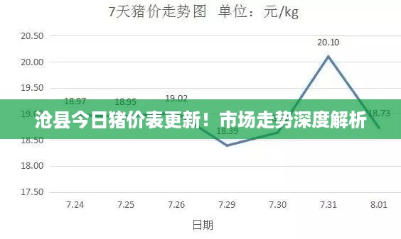 沧县今日猪价表更新！市场走势深度解析