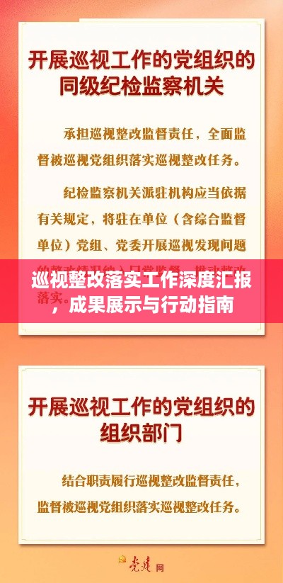 巡视整改落实工作深度汇报，成果展示与行动指南