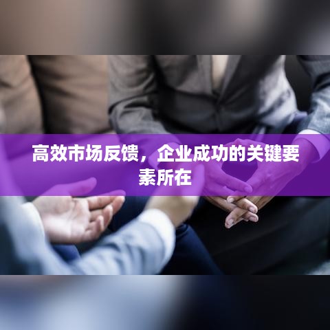 高效市场反馈，企业成功的关键要素所在