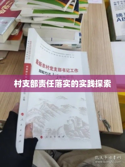 村支部责任落实的实践探索