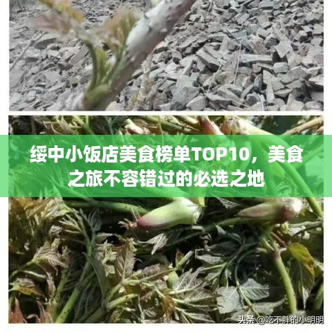 绥中小饭店美食榜单TOP10，美食之旅不容错过的必选之地