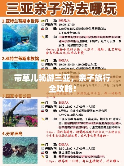 带草儿畅游三亚，亲子旅行全攻略！