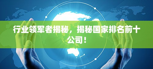 行业领军者揭秘，揭秘国家排名前十公司！
