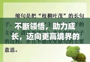 不断领悟，助力成长，迈向更高境界的秘诀