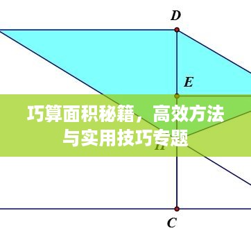巧算面积秘籍，高效方法与实用技巧专题