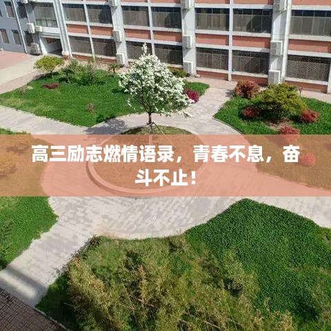 高三励志燃情语录，青春不息，奋斗不止！