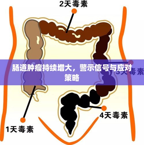 肠道肿瘤持续增大，警示信号与应对策略
