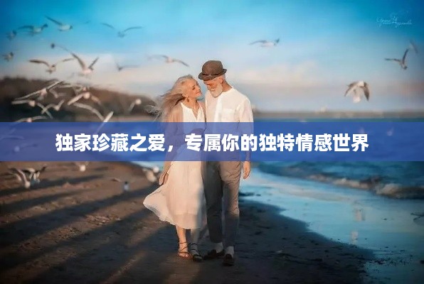 独家珍藏之爱，专属你的独特情感世界