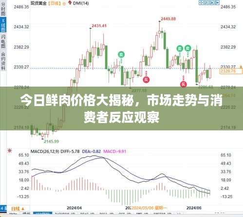 今日鲜肉价格大揭秘，市场走势与消费者反应观察