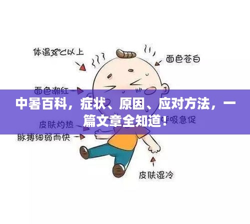 中暑百科，症状、原因、应对方法，一篇文章全知道！