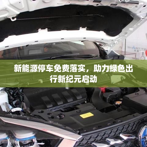新能源停车免费落实，助力绿色出行新纪元启动