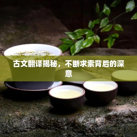 古文翻译揭秘，不断求索背后的深意