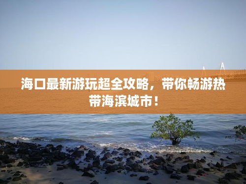 海口最新游玩超全攻略，带你畅游热带海滨城市！