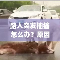路人突发抽搐怎么办？原因解析、应对措施与预防措施全攻略！