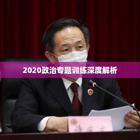 2020政治专题训练深度解析