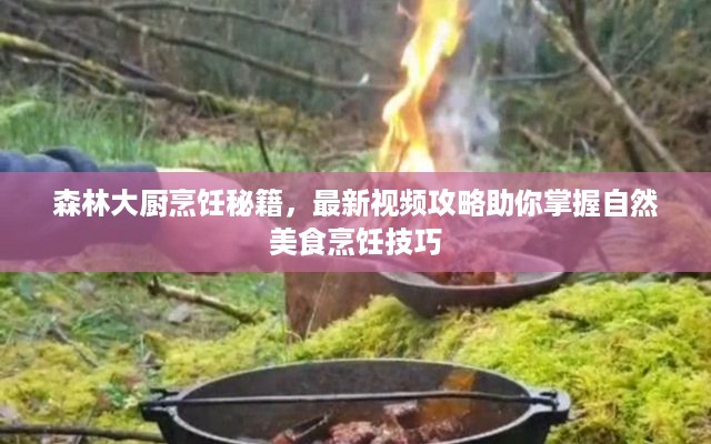 森林大厨烹饪秘籍，最新视频攻略助你掌握自然美食烹饪技巧