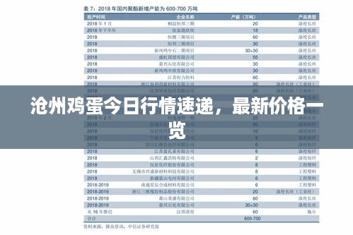 沧州鸡蛋今日行情速递，最新价格一览