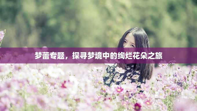 梦蕾专题，探寻梦境中的绚烂花朵之旅