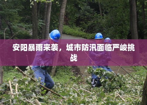 安阳暴雨来袭，城市防汛面临严峻挑战