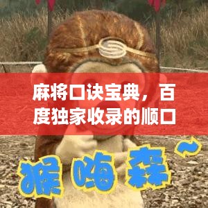 麻将口诀宝典，百度独家收录的顺口溜大全