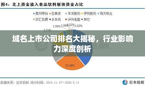 域名上市公司排名大揭秘，行业影响力深度剖析