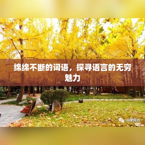 绵绵不断的词语，探寻语言的无穷魅力