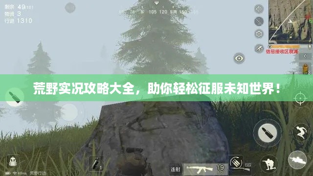 荒野实况攻略大全，助你轻松征服未知世界！