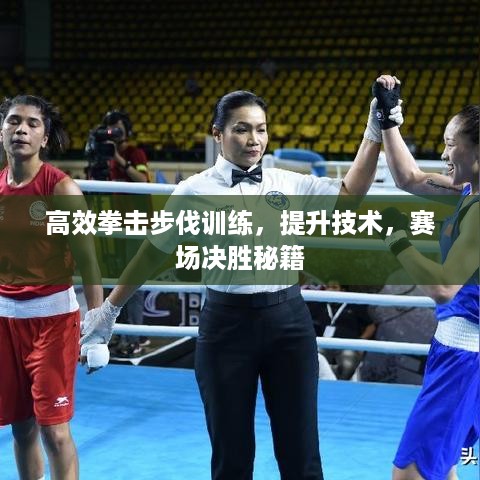 高效拳击步伐训练，提升技术，赛场决胜秘籍