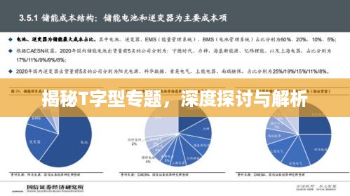 揭秘T字型专题，深度探讨与解析