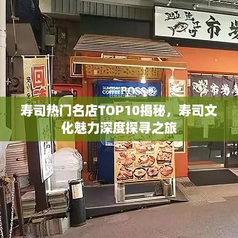 寿司热门名店TOP10揭秘，寿司文化魅力深度探寻之旅
