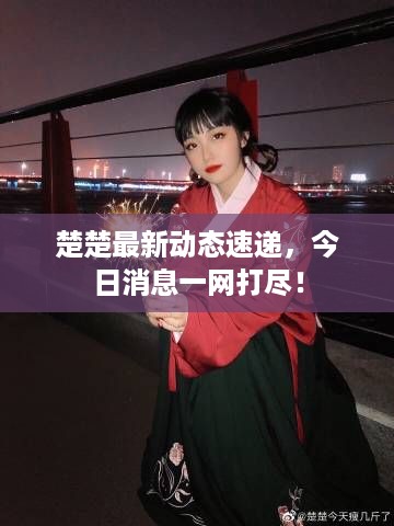 楚楚最新动态速递，今日消息一网打尽！