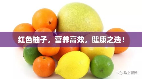 红色柚子，营养高效，健康之选！