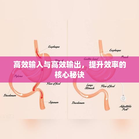 高效输入与高效输出，提升效率的核心秘诀