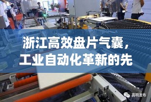 浙江高效盘片气囊，工业自动化革新的先锋力量