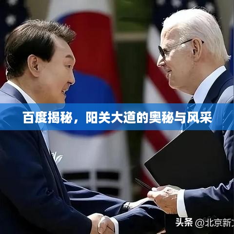 百度揭秘，阳关大道的奥秘与风采