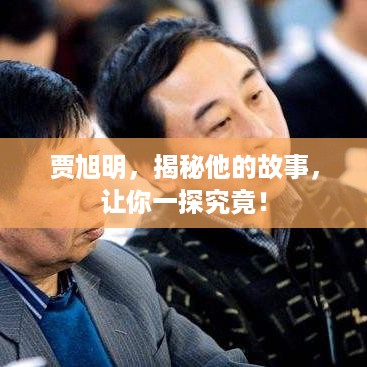 贾旭明，揭秘他的故事，让你一探究竟！