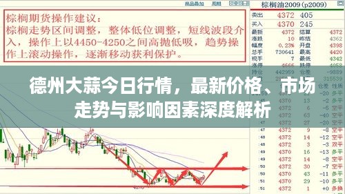 德州大蒜今日行情，最新价格、市场走势与影响因素深度解析