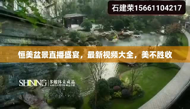 恒美盆景直播盛宴，最新视频大全，美不胜收