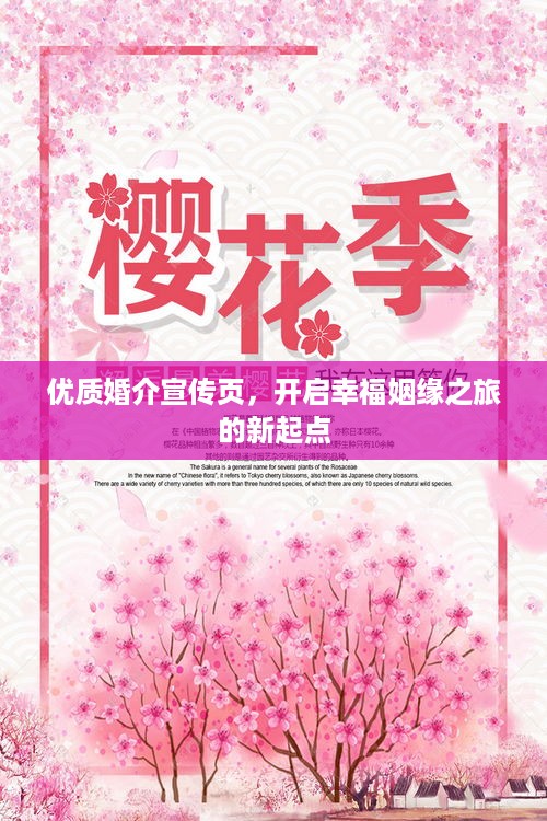 优质婚介宣传页，开启幸福姻缘之旅的新起点