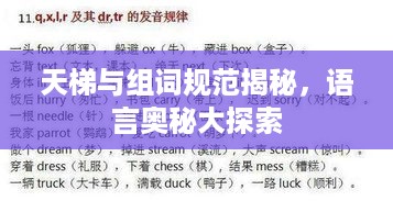 天梯与组词规范揭秘，语言奥秘大探索
