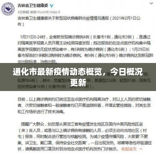 通化市最新疫情动态概览，今日概况更新
